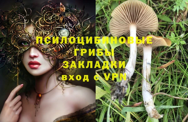 apvp Остров