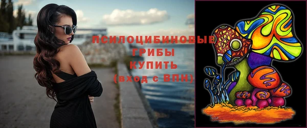 стаф Абаза